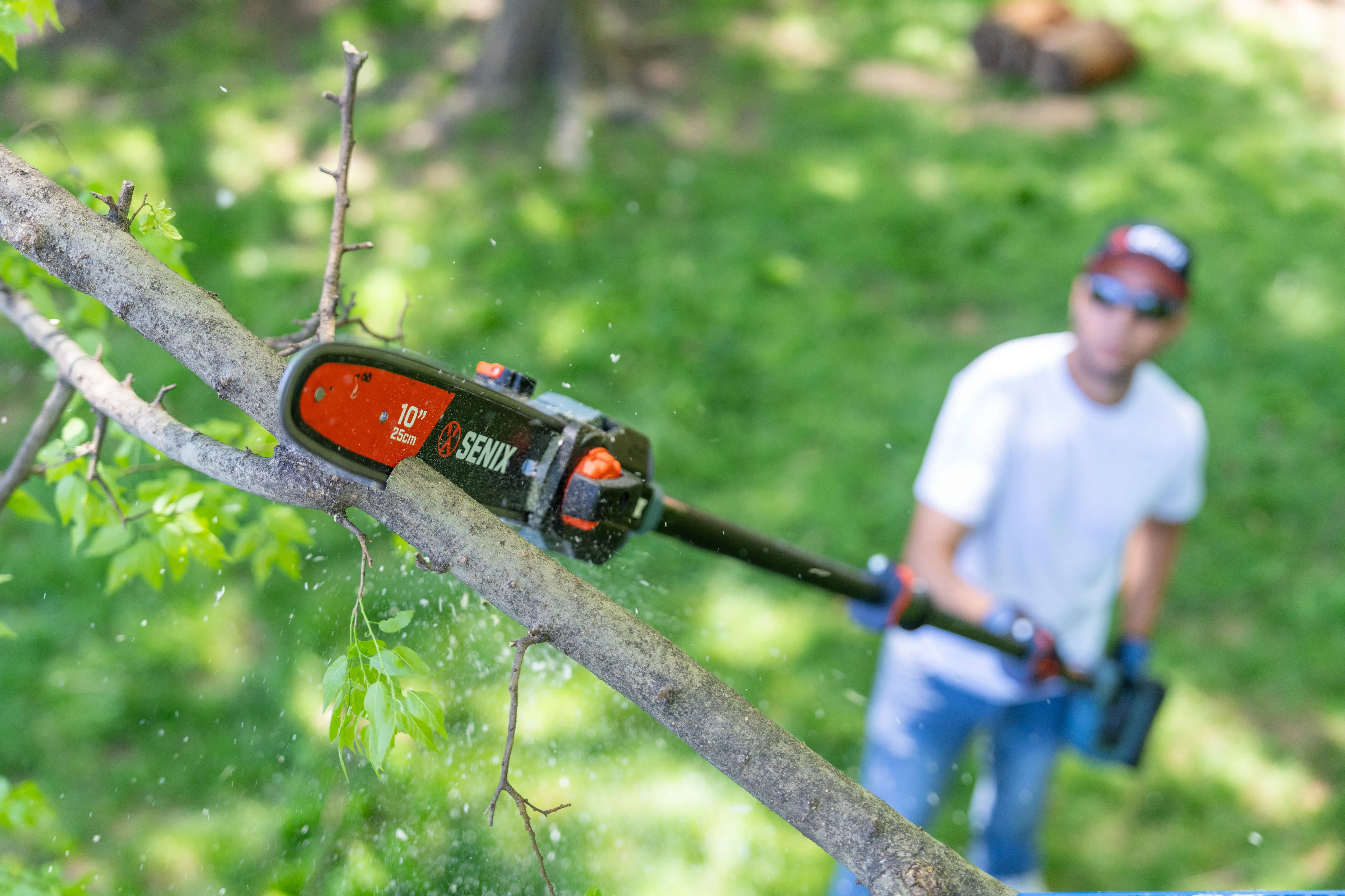 60 Volt Max* Cordless Brushless 10-Inch Pole Saw (Battery and Charger Included), CSPX6-M