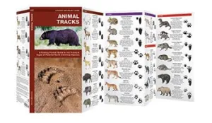 Animal Tracks Pocket Guide