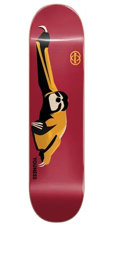 Animals (Youness Amrani) Deck 8.0"