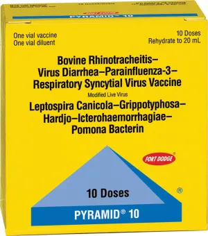 Boehringer-bios - Pyramid 10