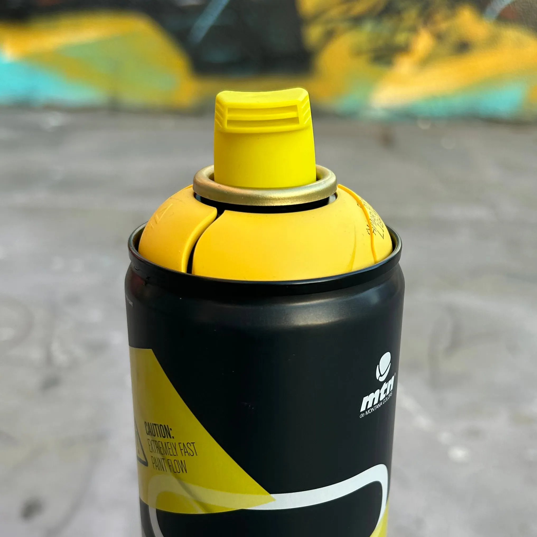 Madmaxxx Spray Paint (in store only)