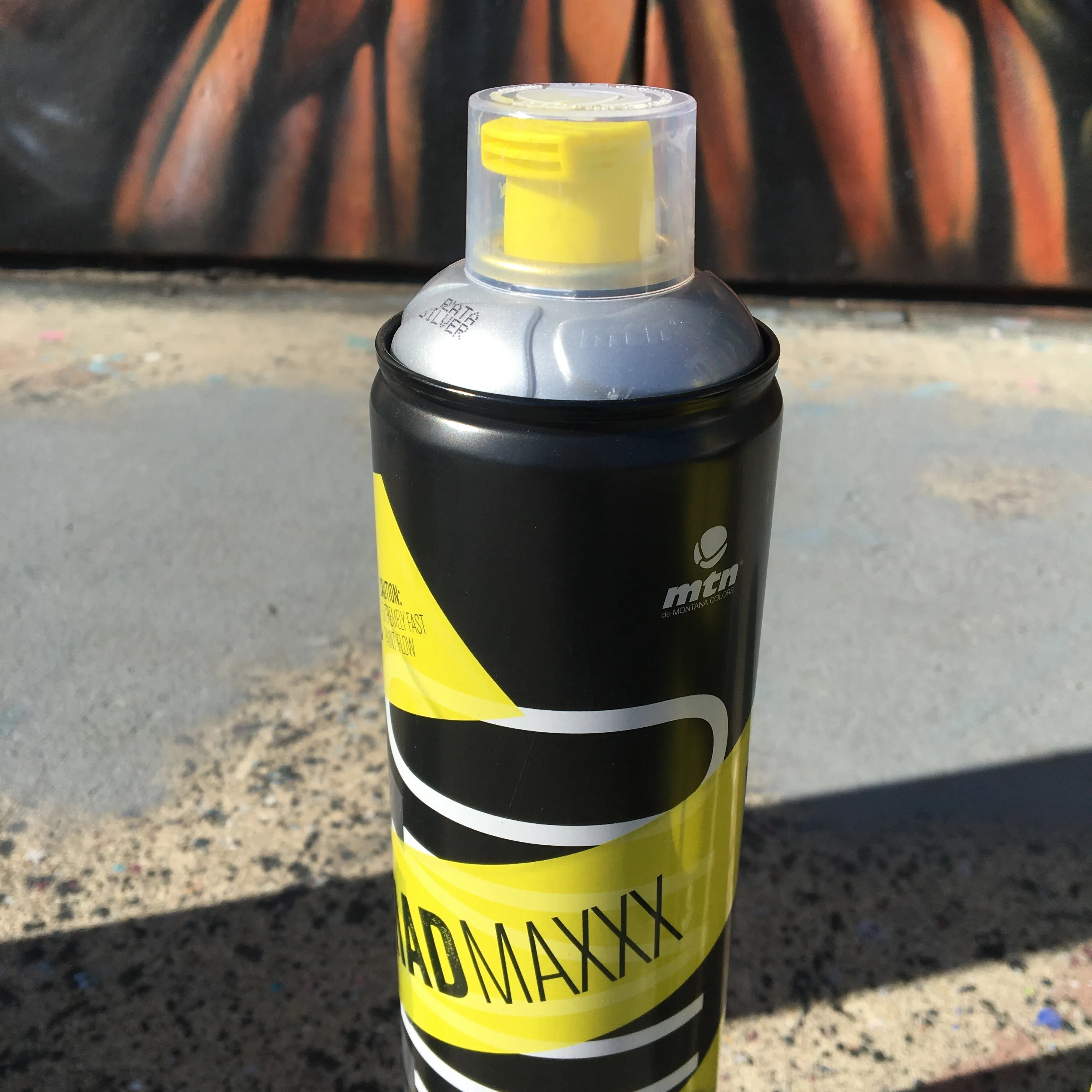 Madmaxxx Spray Paint (in store only)