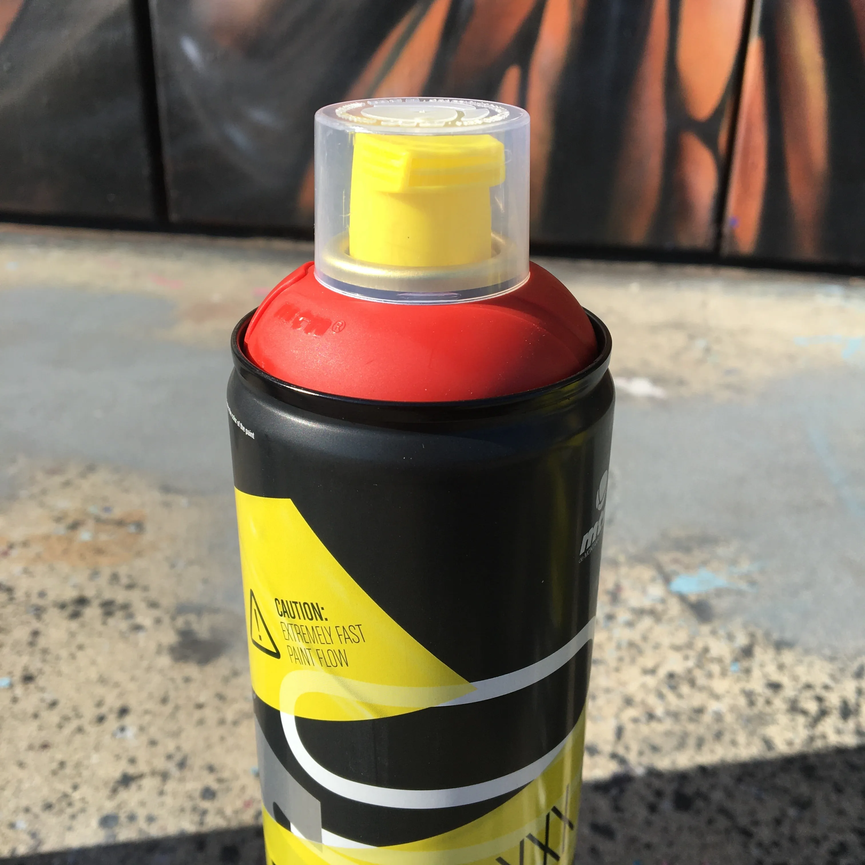 Madmaxxx Spray Paint (in store only)