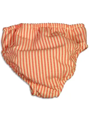 My Pool Pal - Baby Girls Gingham Striped Reusable Swim Diaper