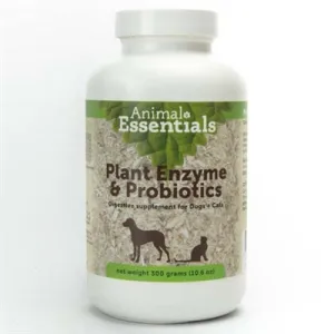 Plant Enzymes & Probiotics - All Natural Digestive Aid